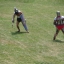 Lupte de gladiatori în 2007